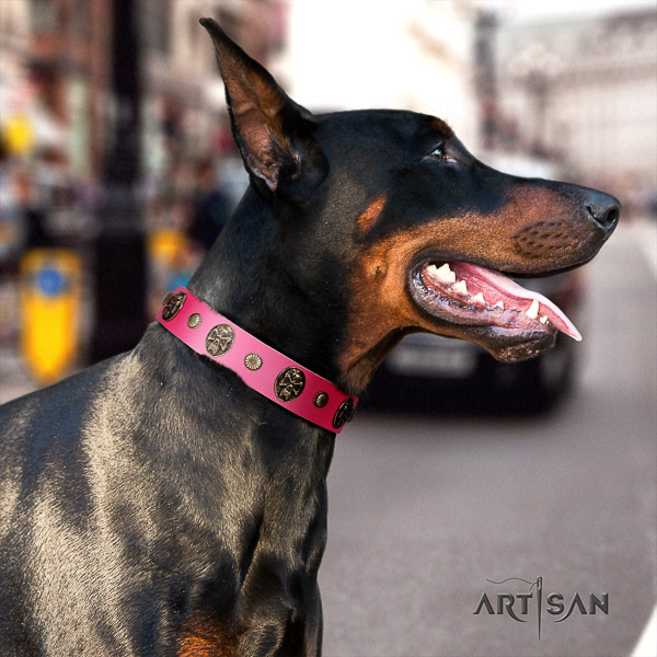 Doberman everyday use leather dog collar with decorations