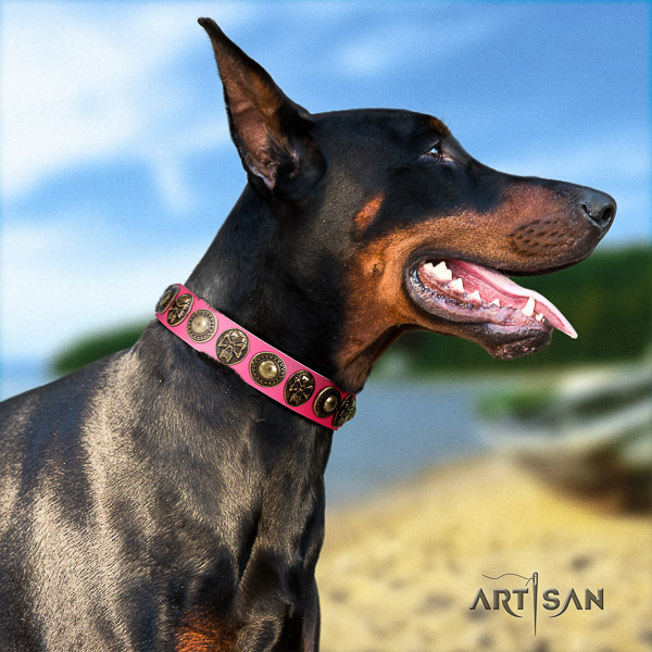 Doberman stylish walking full grain genuine leather dog collar with adornments