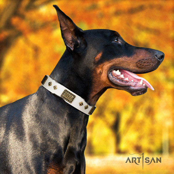 Doberman designer full grain leather collar with studs for your doggie