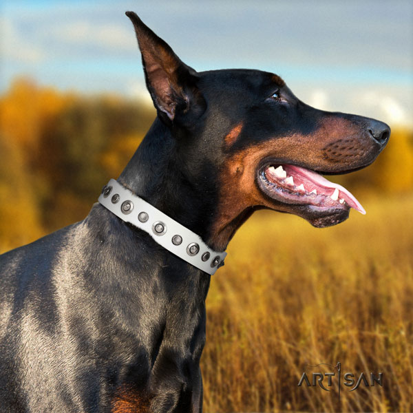 Doberman stylish full grain leather collar with adornments for your canine