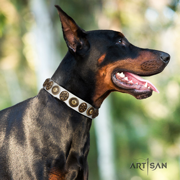Doberman daily walking natural genuine leather dog collar with adornments