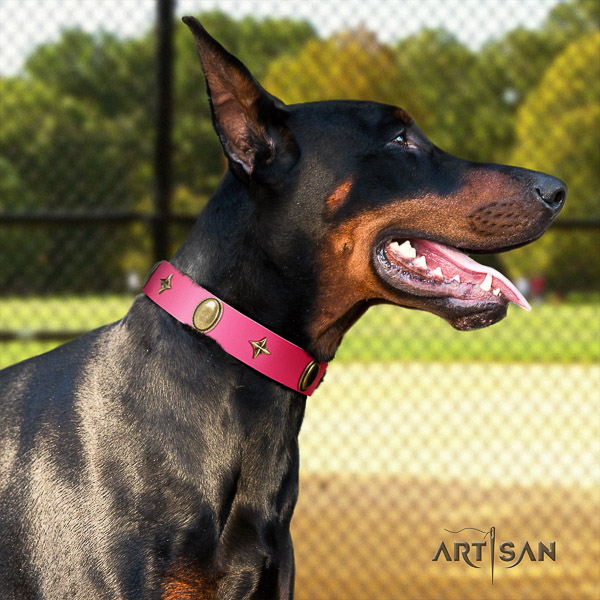 Doberman comfy wearing full grain leather dog collar with studs