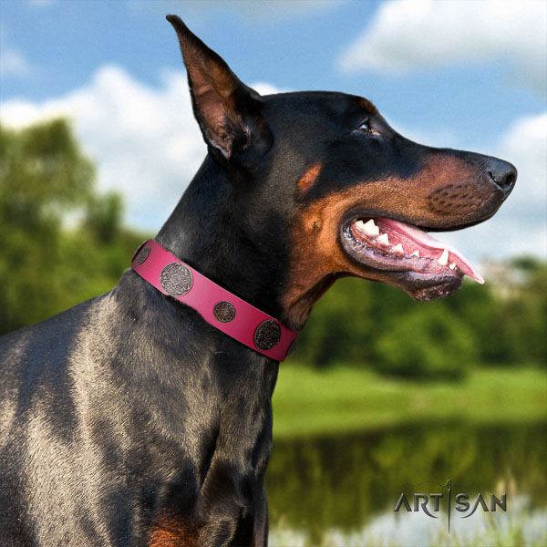 Doberman full grain natural leather dog collar with embellishments for your beautiful canine