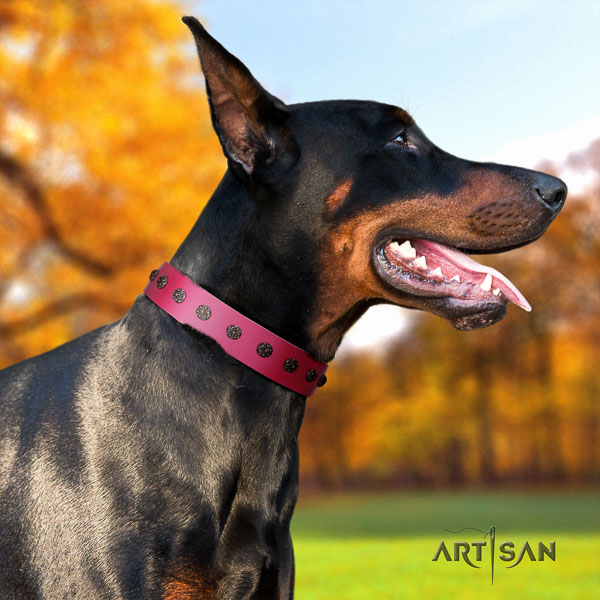 Doberman full grain leather dog collar with embellishments for your impressive pet