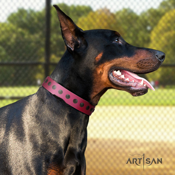 Doberman full grain genuine leather dog collar with embellishments for your handsome dog