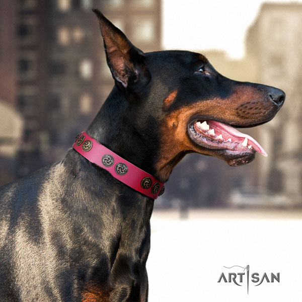 Doberman genuine leather dog collar with studs for your lovely four-legged friend