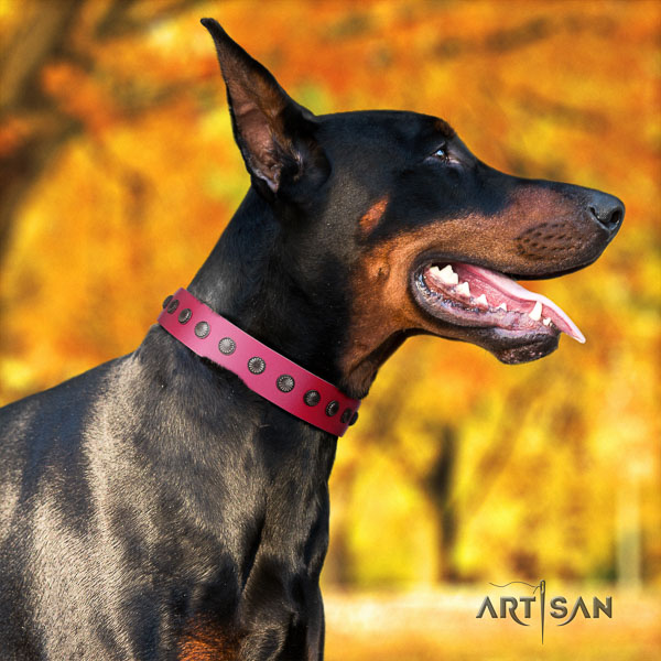 Doberman full grain leather dog collar with adornments for your beautiful four-legged friend