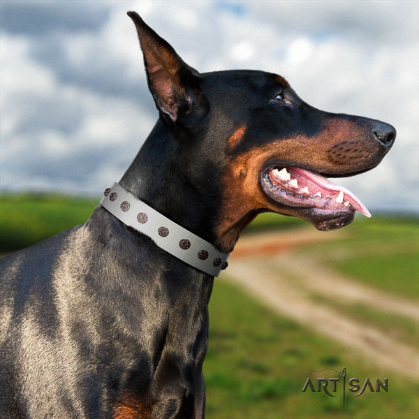 Doberman leather dog collar with adornments for your lovely canine
