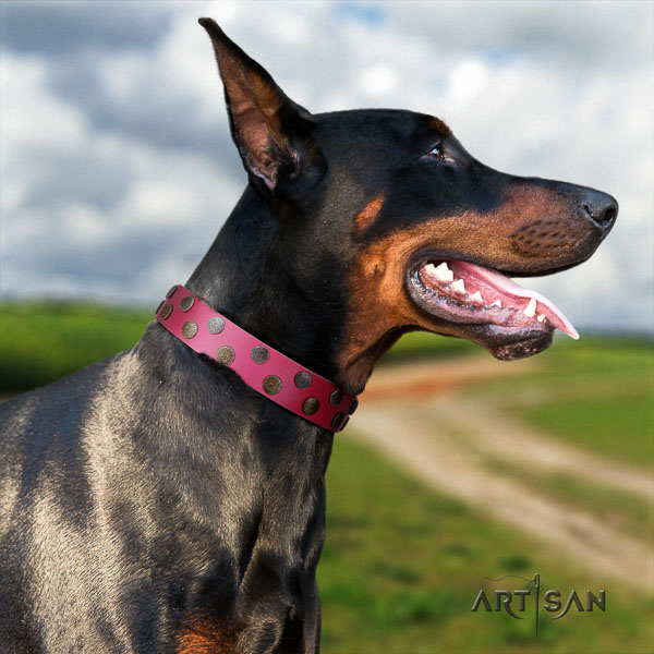Doberman full grain natural leather dog collar with adornments for your beautiful pet