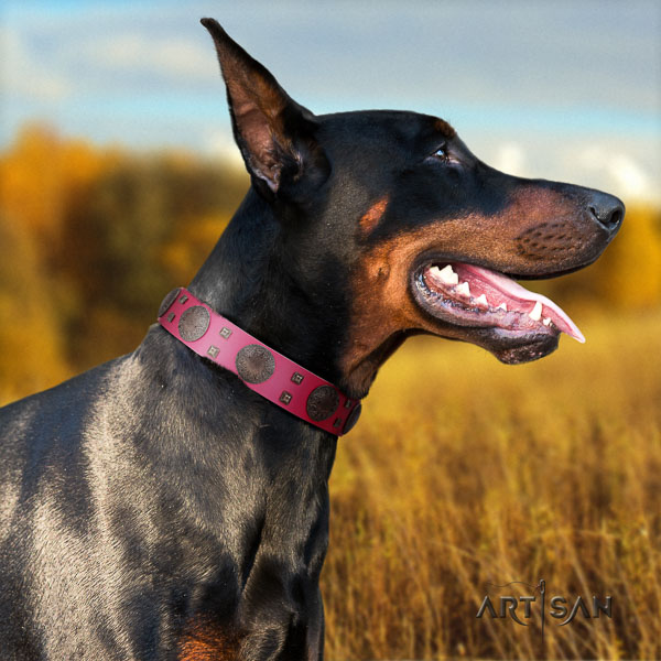 Doberman genuine leather dog collar with studs for your handsome dog
