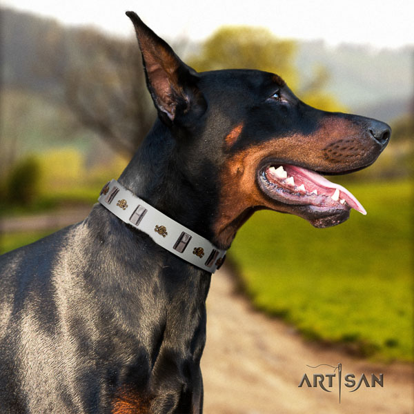 Doberman full grain leather dog collar with decorations for your attractive pet