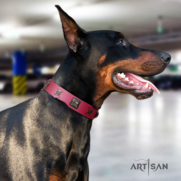 Doberman genuine leather dog collar with studs for your stylish dog