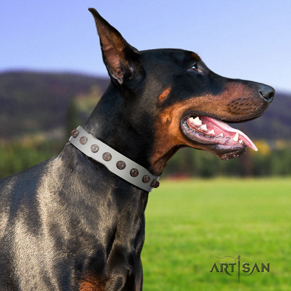 Doberman full grain natural leather dog collar with embellishments for your beautiful pet