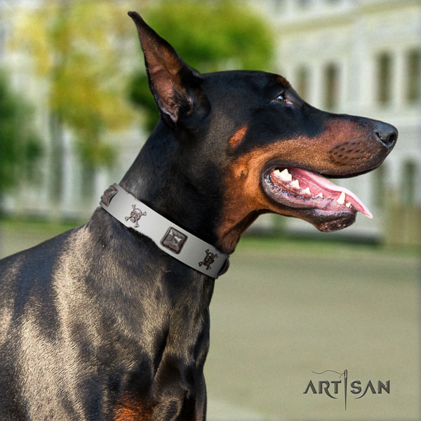 Doberman full grain natural leather dog collar with adornments for your attractive four-legged friend