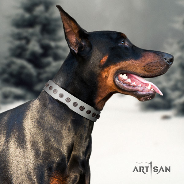 Doberman genuine leather dog collar with studs for your lovely pet