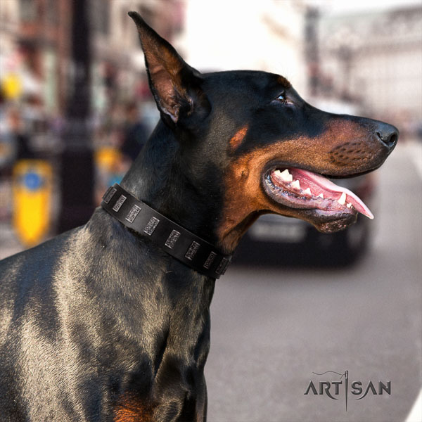 Doberman full grain leather dog collar with decorations for your impressive dog