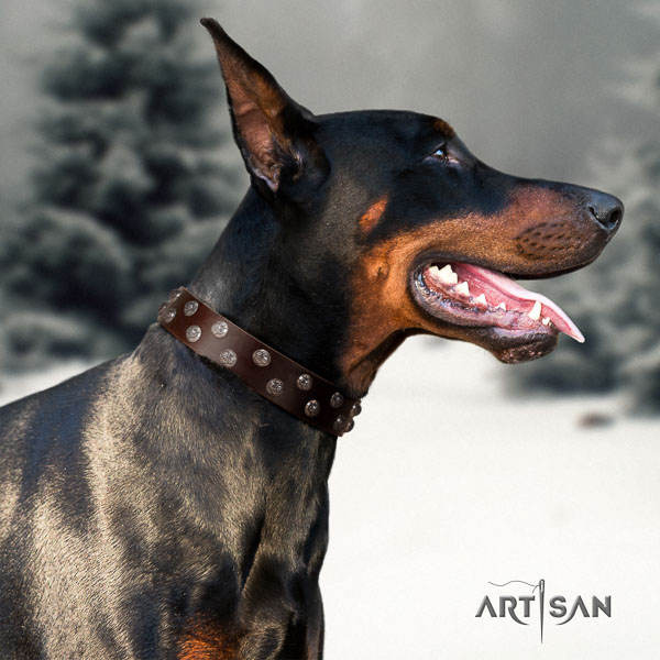 Doberman full grain genuine leather dog collar with embellishments for your attractive canine