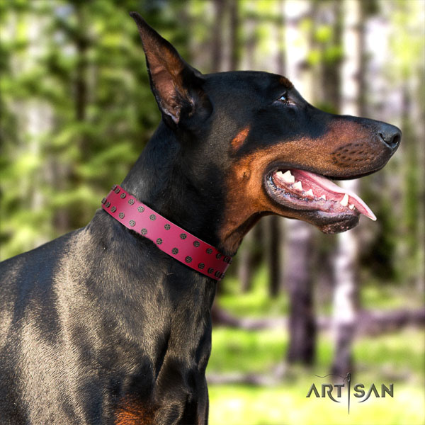 Doberman full grain natural leather dog collar with adornments for your impressive canine