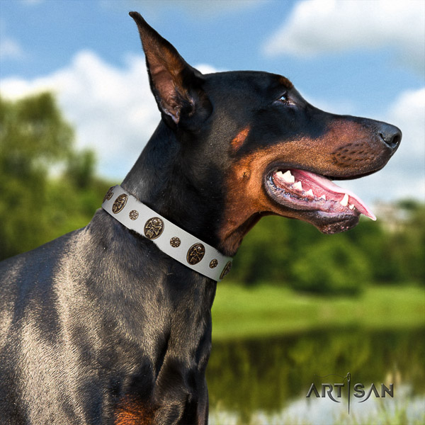 Doberman basic training full grain natural leather dog collar with adornments