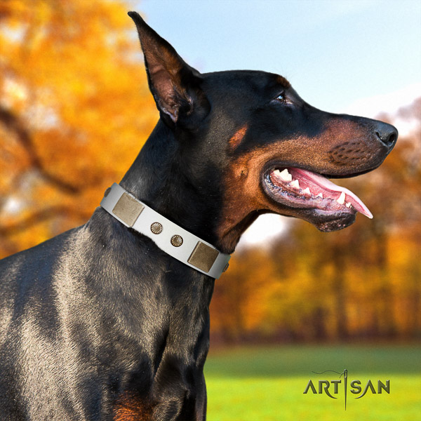 Doberman basic training genuine leather dog collar with embellishments