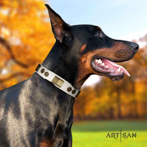 Doberman fashionable genuine leather collar with adornments for your four-legged friend