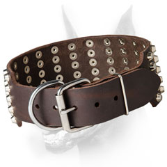 Studded Dog Collar for Doberman