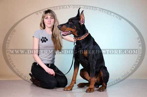 Hand Painted Leather Buckle Collar for Dobermans