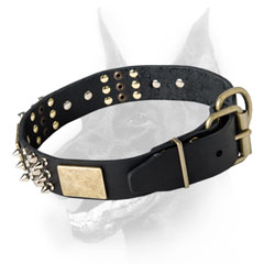 Walking leather dog collar