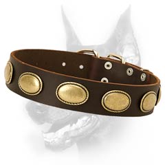 Best-fitted leather dog collar