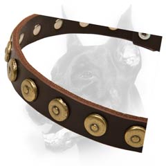 Multifunctional leather dog collar with ornament