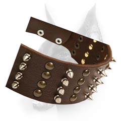 Sophisticated leather dog collar for strong dogs