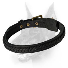 Extra ordinary leather dog collar