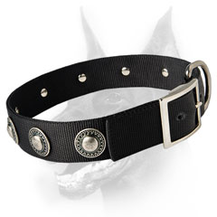 Custom made dog collar for large dog breeds