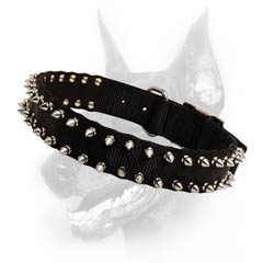 Spiked nylon dog collar