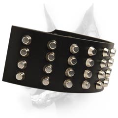 Finest leather dog collar with gorgeous studs