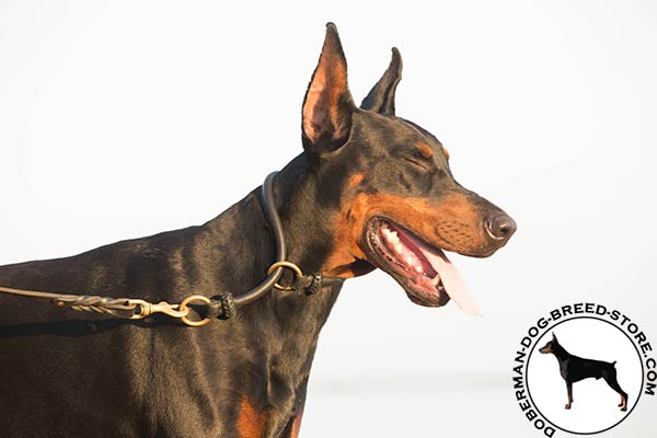 Doberman black leather collar of lightweight material with brass plated hardware for daily activity