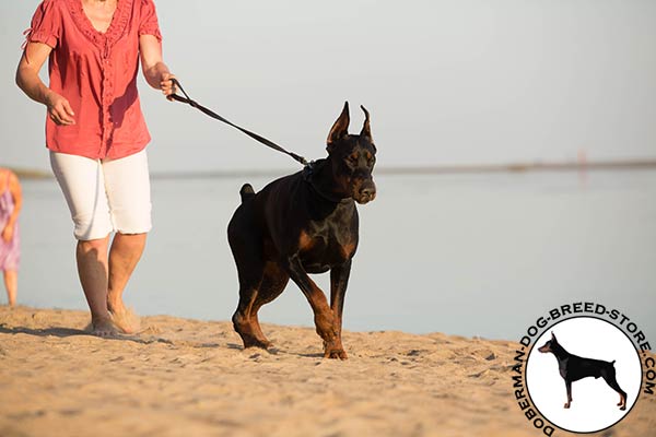 Doberman black leather collar with strong fittings for better comfort