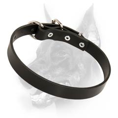 Everyday leather dog collar