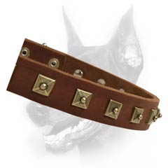 Exclusive leather buckle dog collar