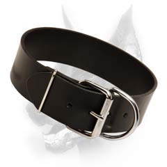 Superior leather dog collar