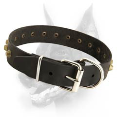 Studded leather dog collar