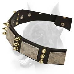 Adjustable leather dog collar