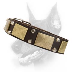 Multitasking leather dog collar