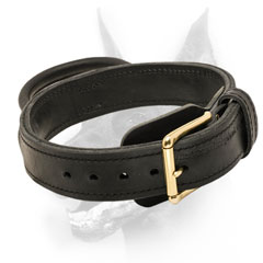 Brand leather dog collar