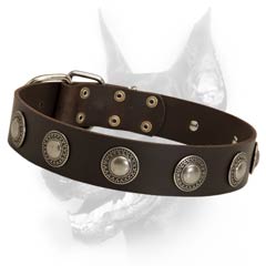 Amazing leather dog collar