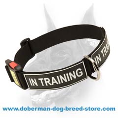 Nylon dog collar of best quality