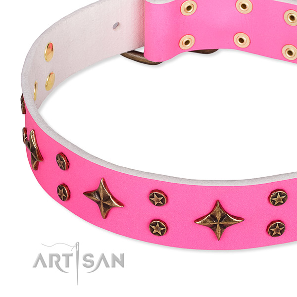 Full grain natural leather dog collar with inimitable studs