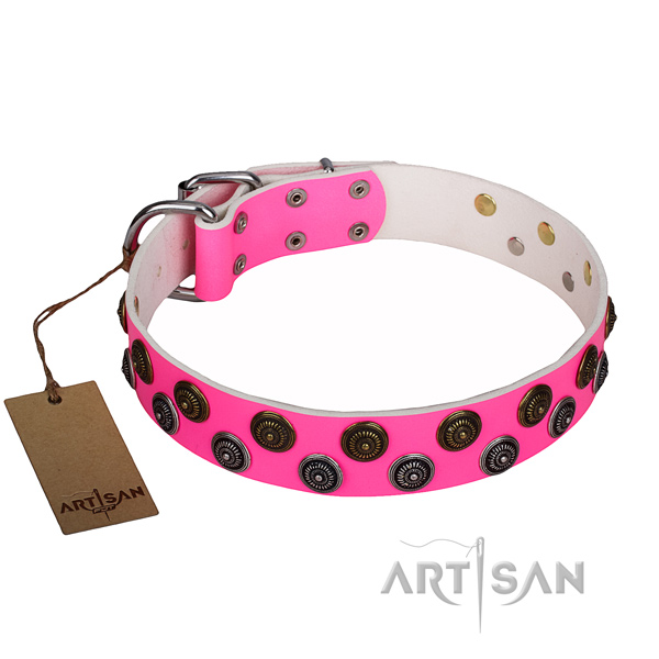 Everyday walking leather collar with embellishments for your pet