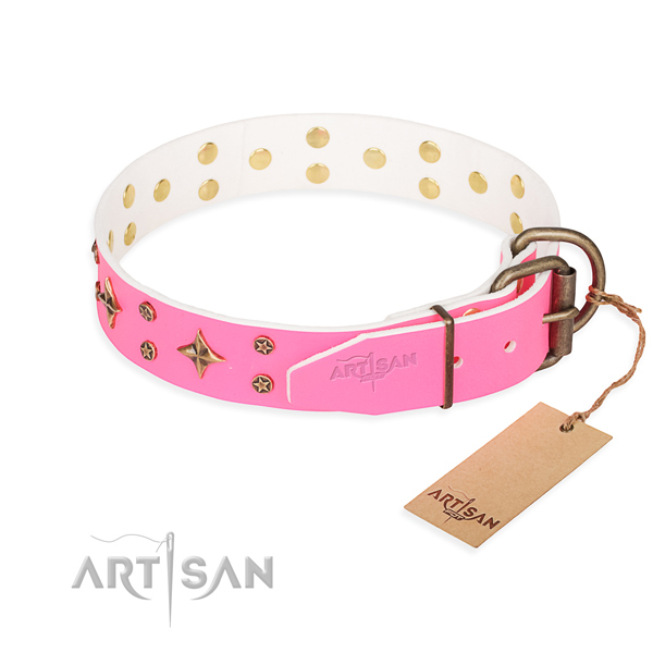 Stylish walking leather collar with decorations for your doggie