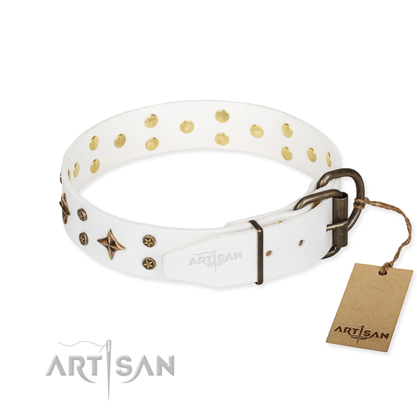 Everyday walking full grain genuine leather collar with adornments for your dog